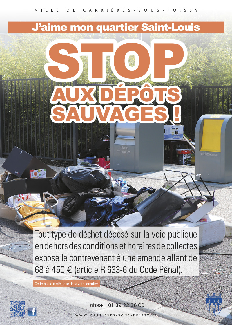 DEPOTS SAUVAGES St Louis