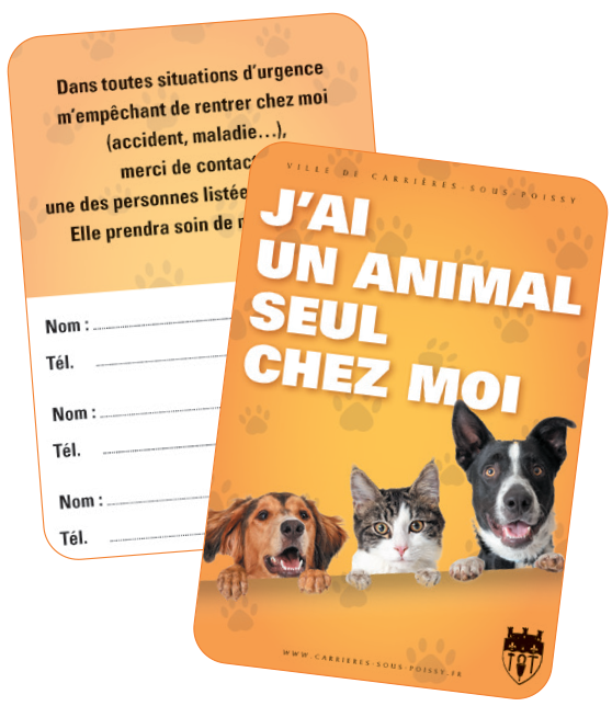 Carte animal seul