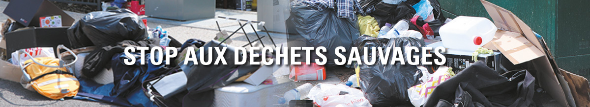 Dechets sauvages