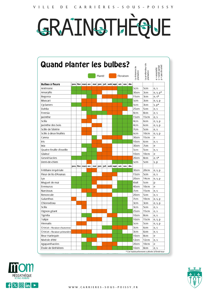 Calendrier bulbes