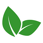 Veggie
